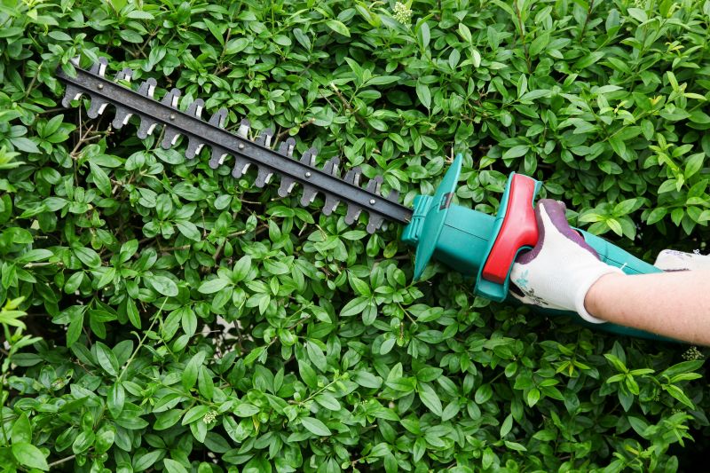Hedge Pruning