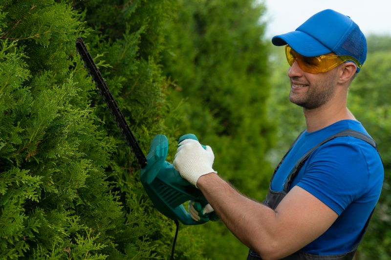 Hedge Pruning