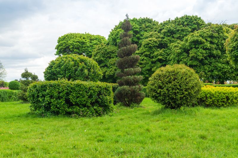 Type of Hedge Vegetation