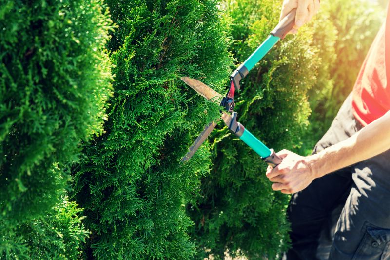 Hedge Pruning Equipment