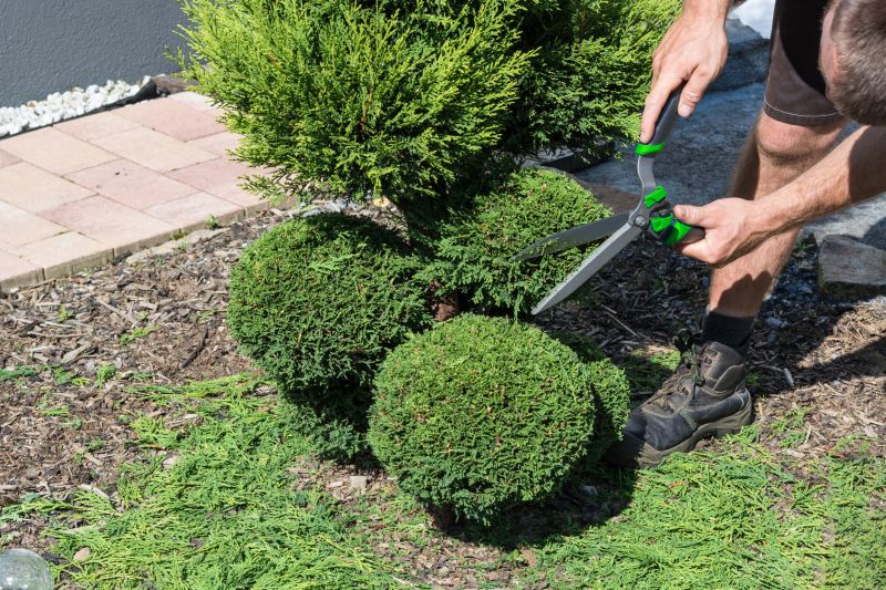 Pruning Mature Shrubs