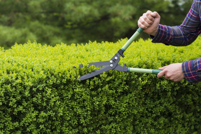 Hedge Pruning Tools