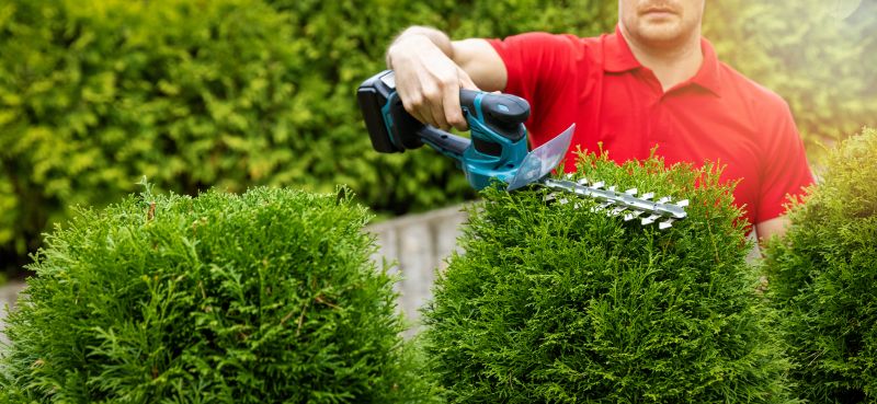 Professional Landscaping Companies