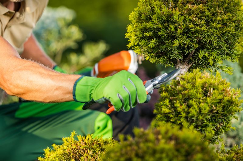 Garden Maintenance Services