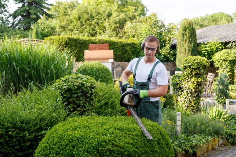 Hedge Pruning Services for Your Landscape